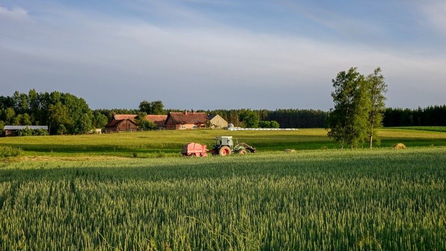 Astronomiczne straty w rolnictwie z powodu niepogody