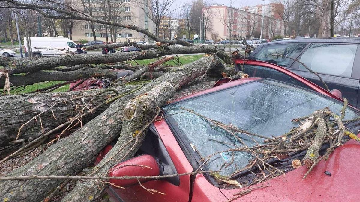 Drzewo zniszczyło samochód w Krakowie. Fot. Facebook / Patrol998-Małopolska.