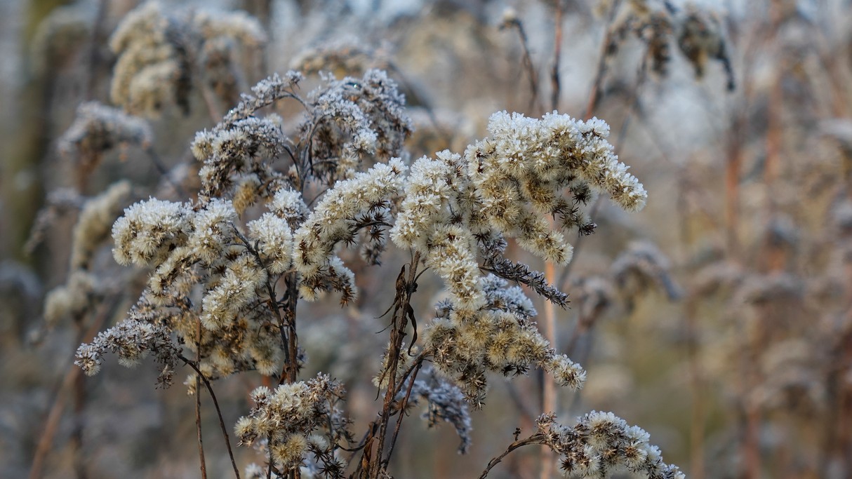 Styczeń w obiektywie - zdjęcie 14
