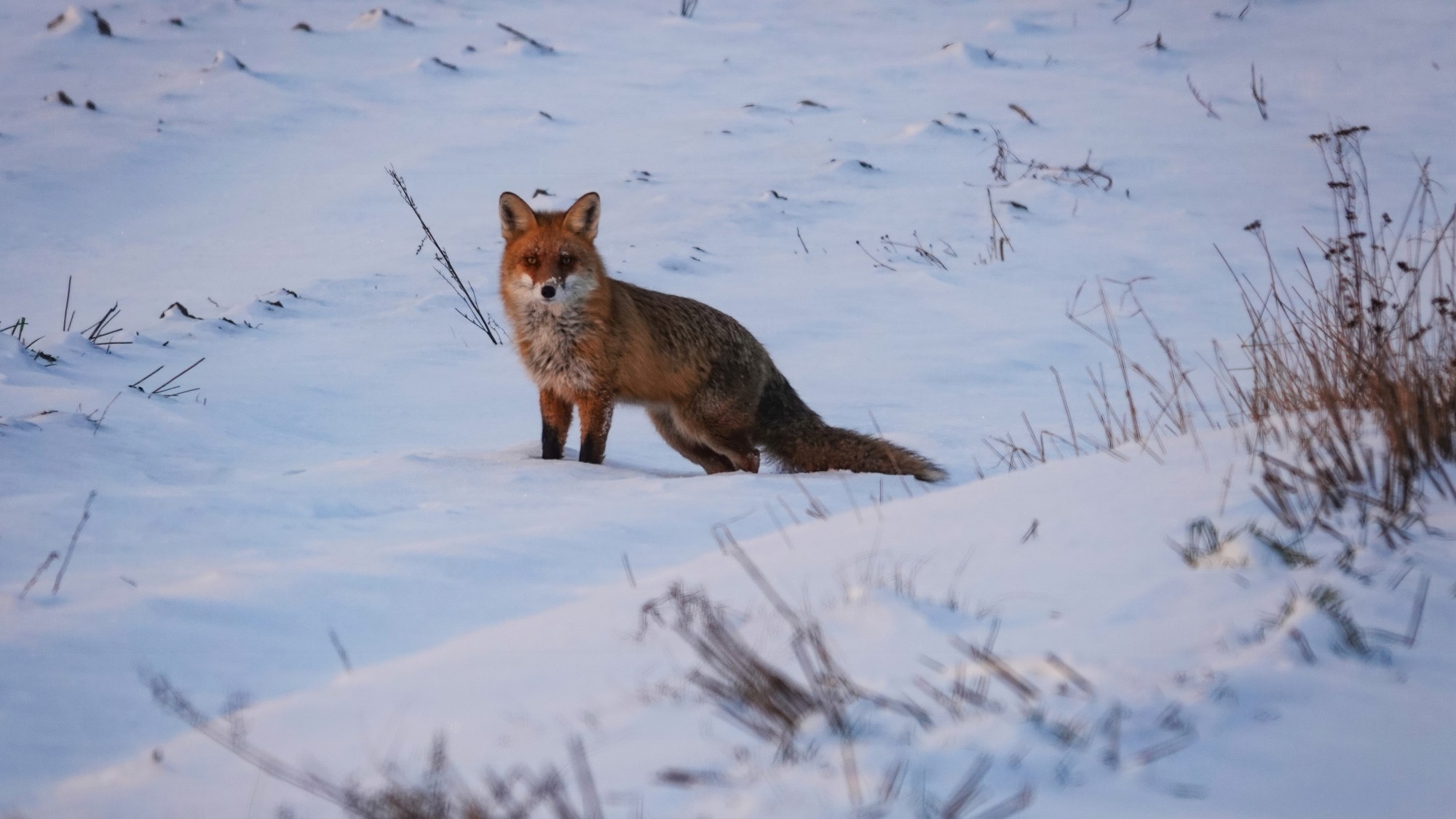 100 najpiękniejszych zdjęć 2021 roku - zdjęcie 54