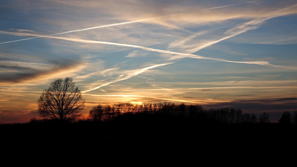 Marzec w obiektywie - zdjęcie 34