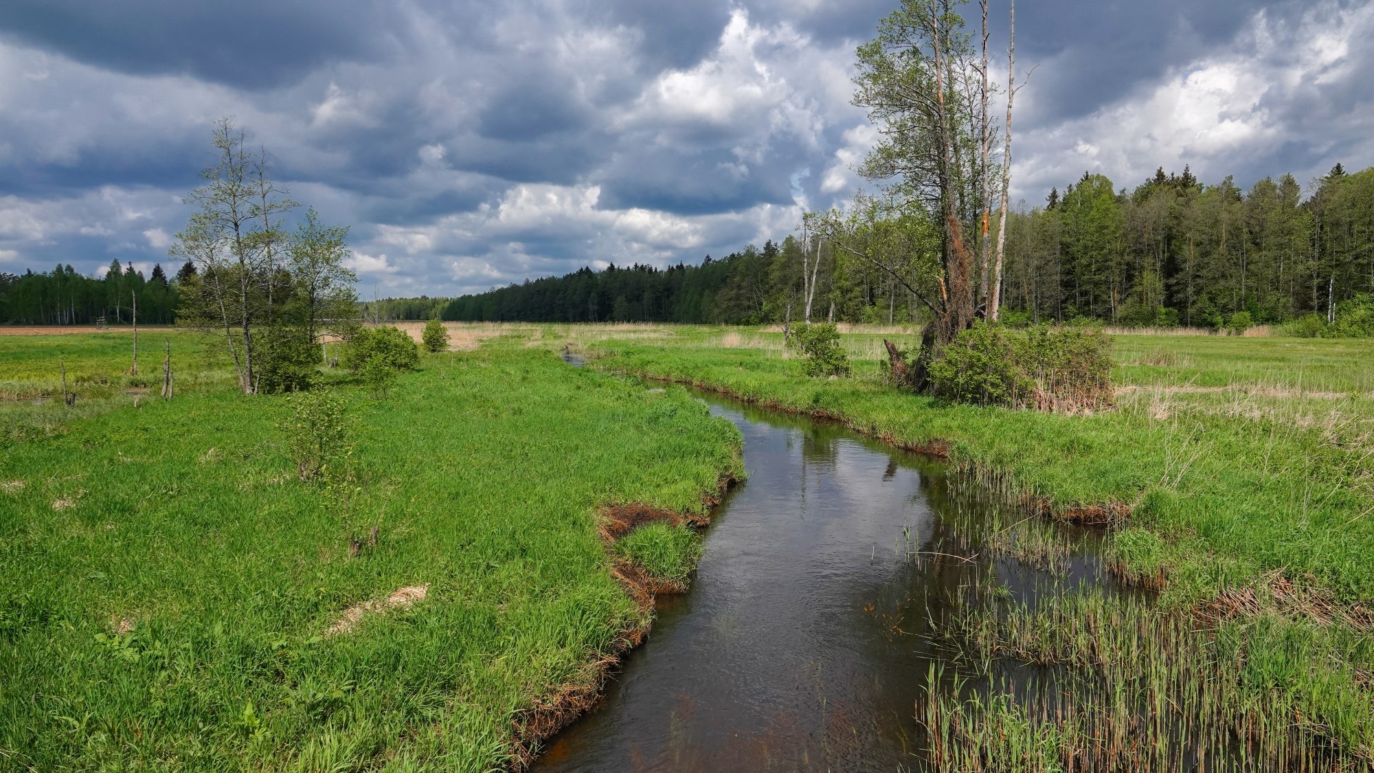 Kochamy Polskę - zdjęcie 14