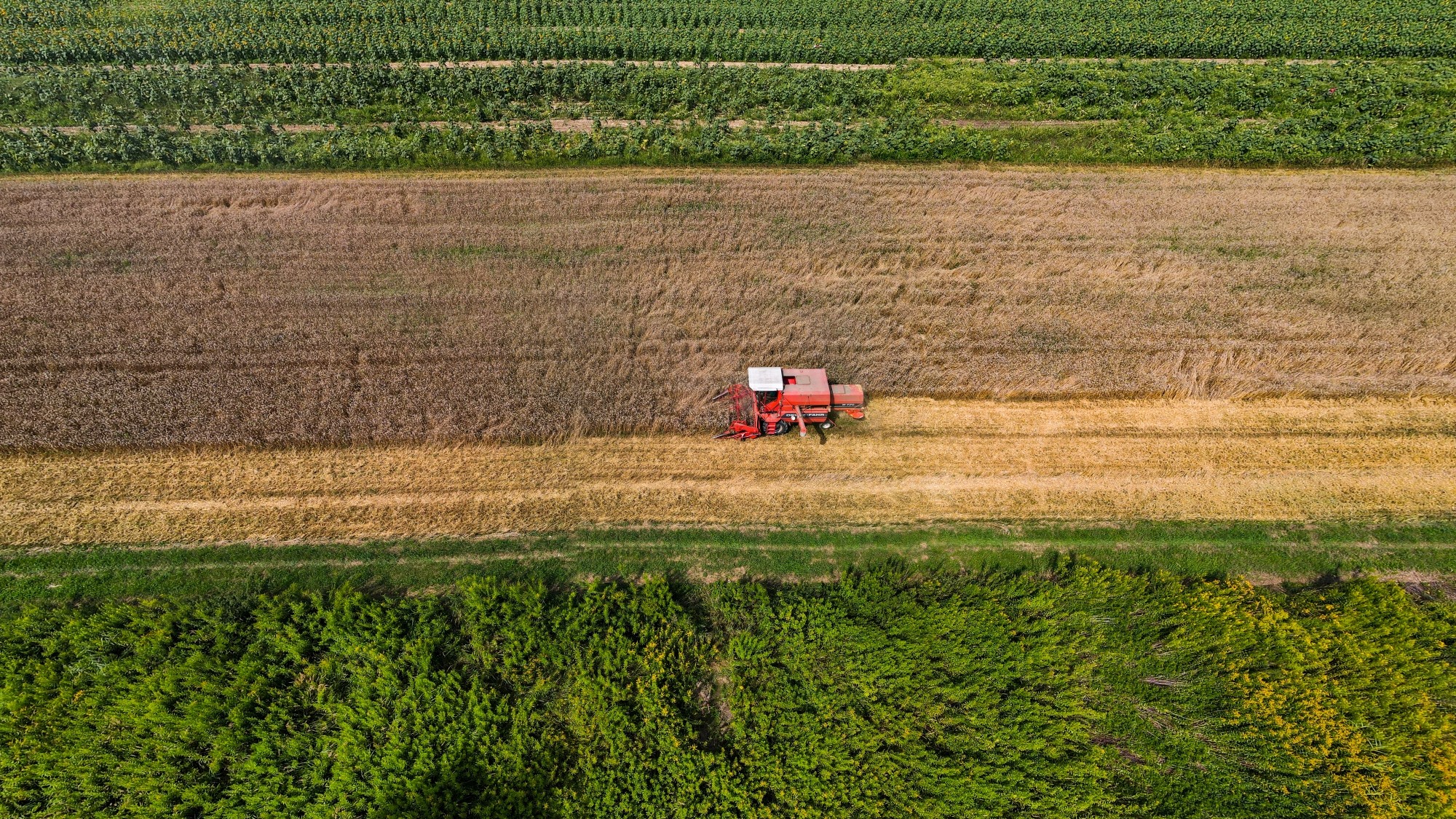Cuda polskiej natury - zdjęcie 18
