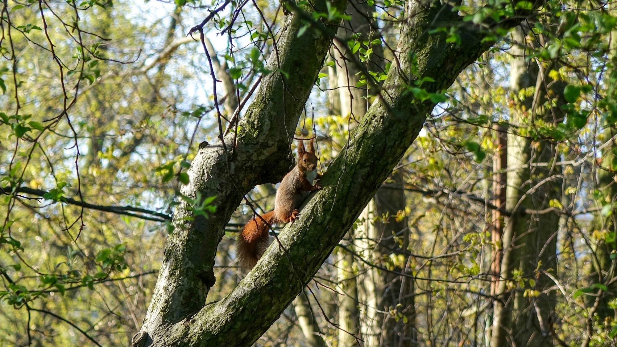 Podróż przez wiosenną Polskę - zdjęcie 5