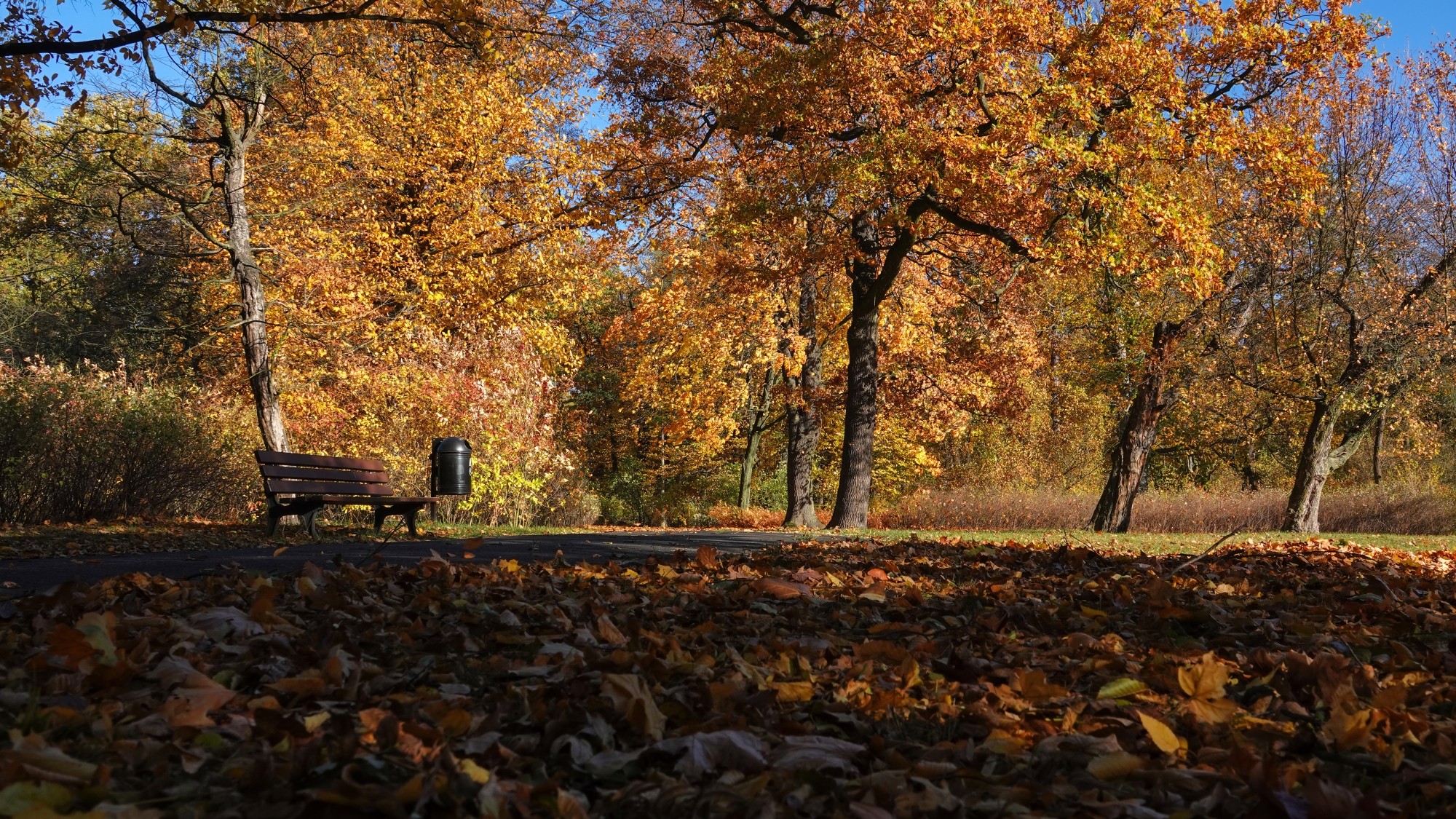 Jesienne klimaty - zdjęcie 20