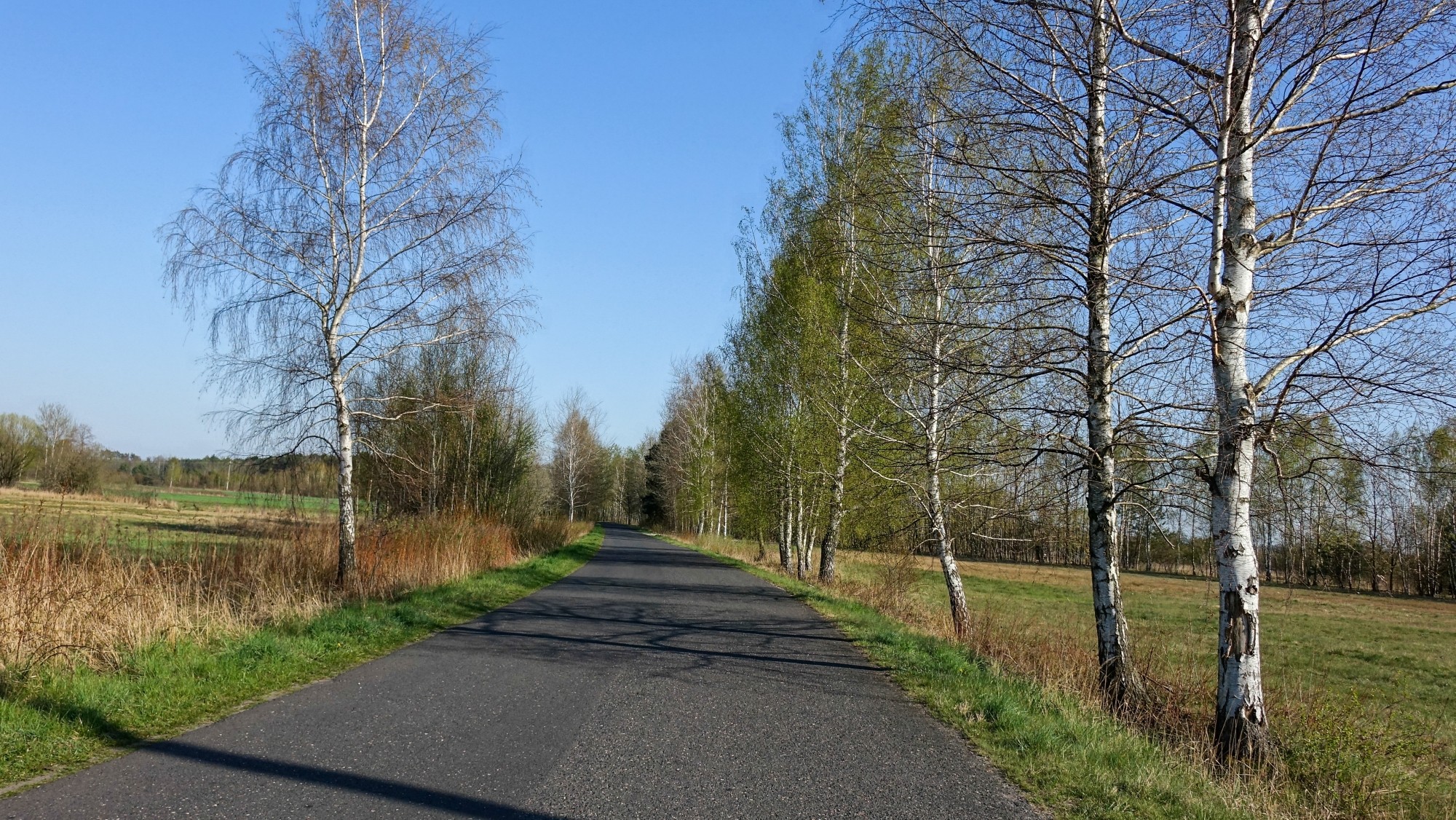 Kwiecień w obiektywie - zdjęcie 45