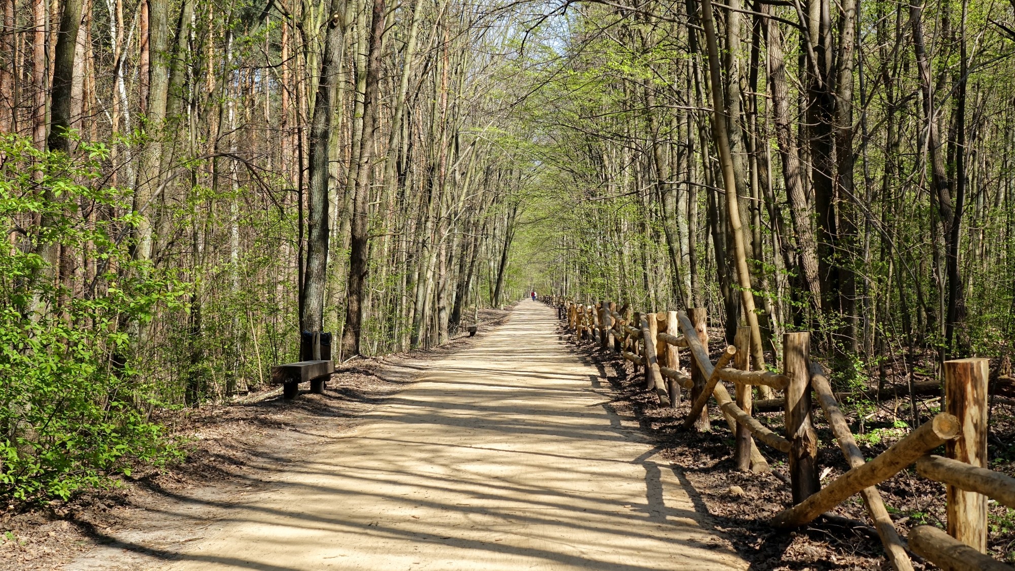Całe piękno polskiej prowincji - zdjęcie 97