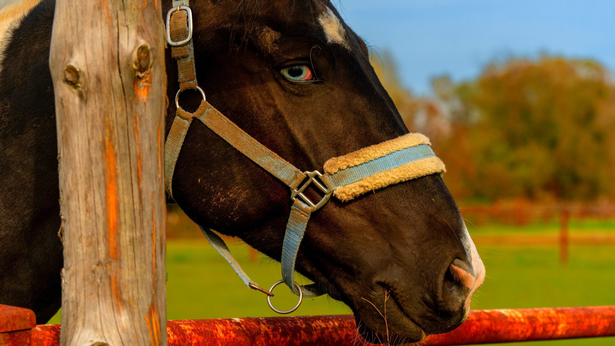 Piękny listopad - zdjęcie 10