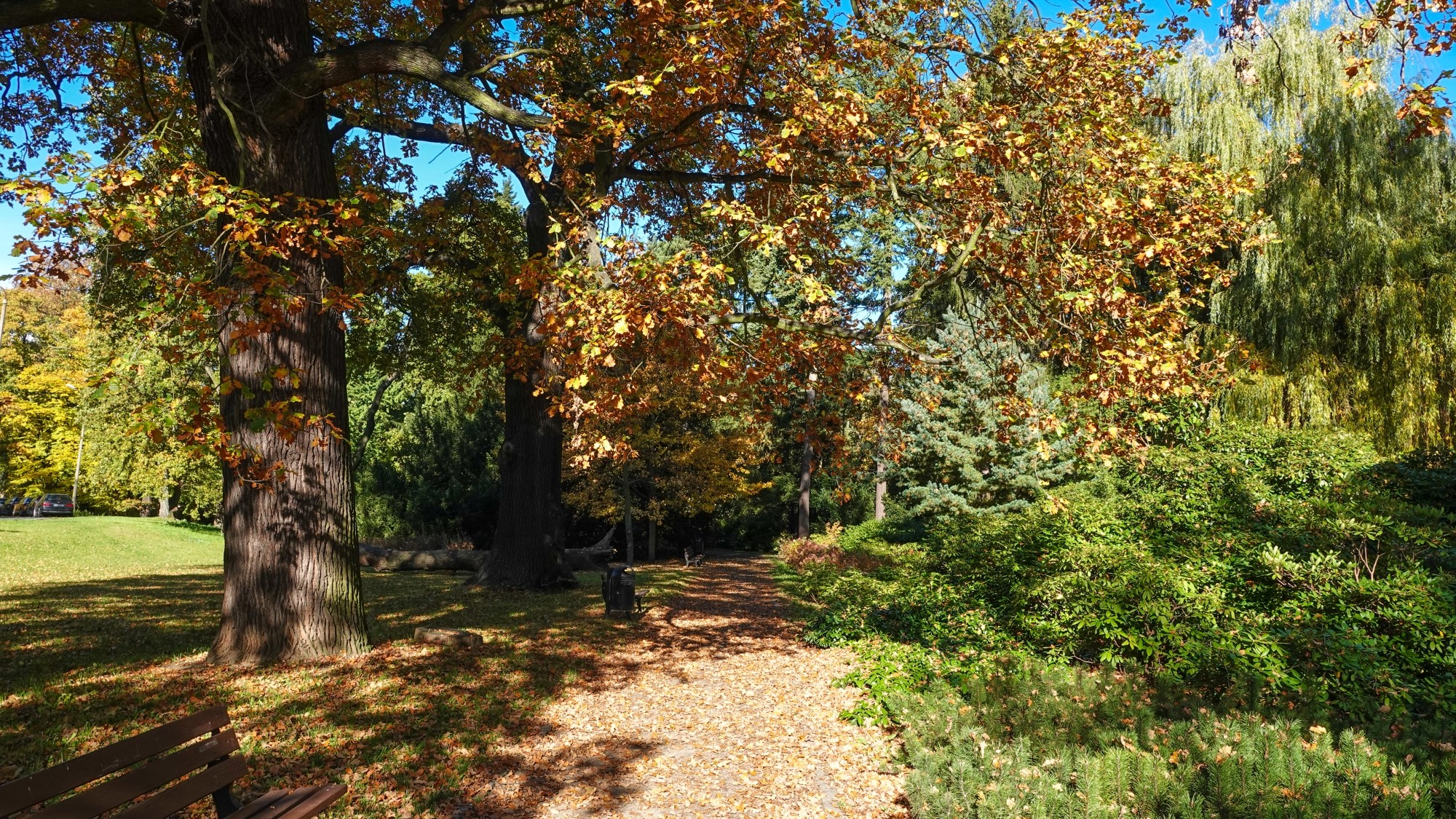 Wszystkie barwy jesieni - zdjęcie 25