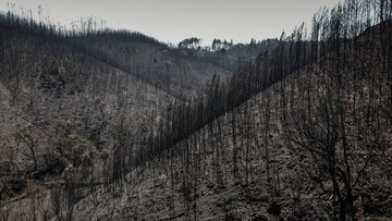 Podpalenie prawdopodobną przyczyną tragicznego pożaru w Portugalii