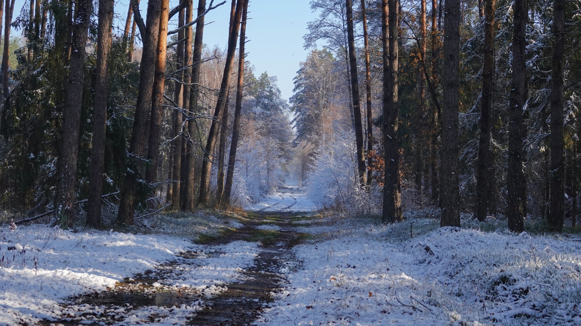 Oblicza zimy - zdjęcie 15