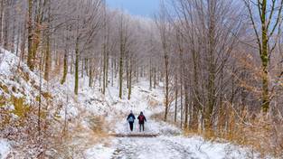 29-11-2023 05:55 Zobacz relaksacyjny zimowy spacer po malowniczej krainie śniegu