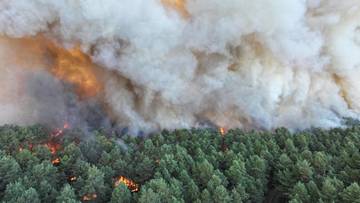Wielki pożar pod Paryżem. Zatrzymano dwie osoby