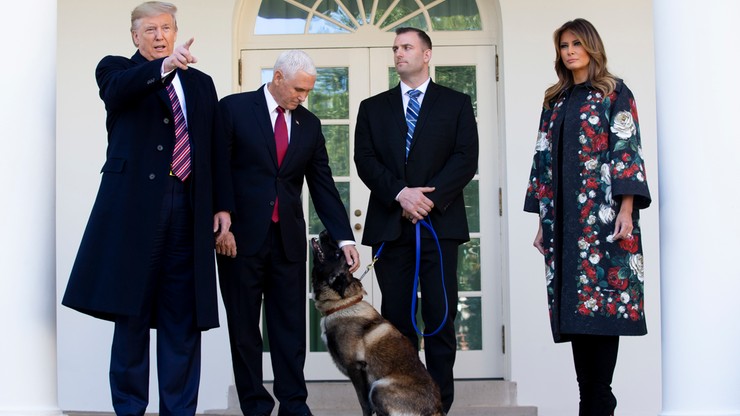 Pies na medal. Trump odznaczył Conana, który brał udział w ujęciu szefa IS