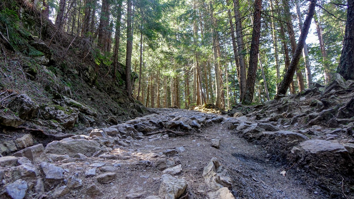 Majówka w Tatrach - zdjęcie 30