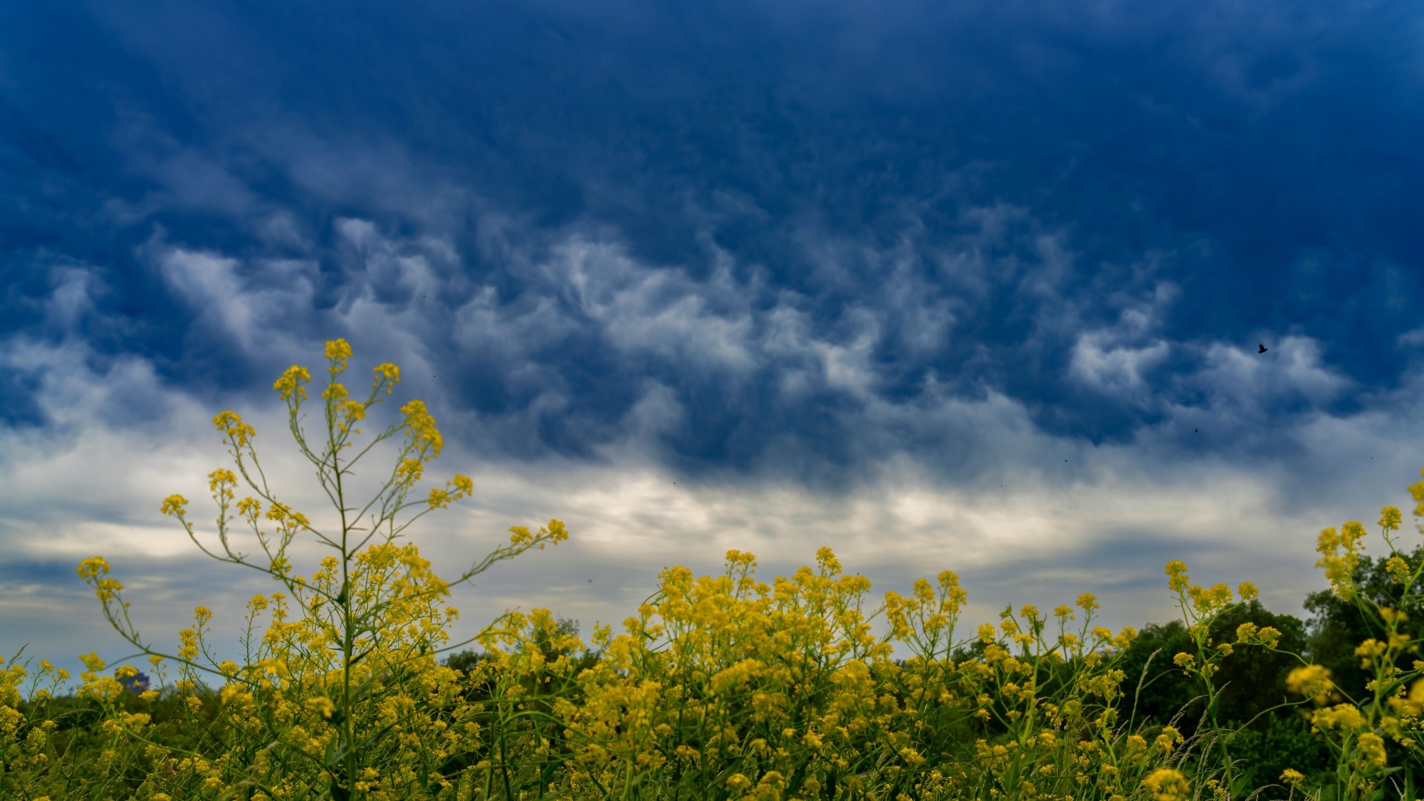 Niebo nad nami - zdjęcie 20