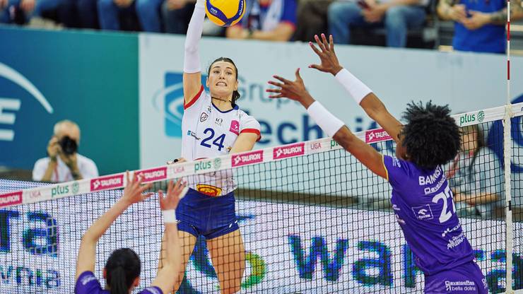 Drużyna sezonu 2025/2026 w Tauron Lidze