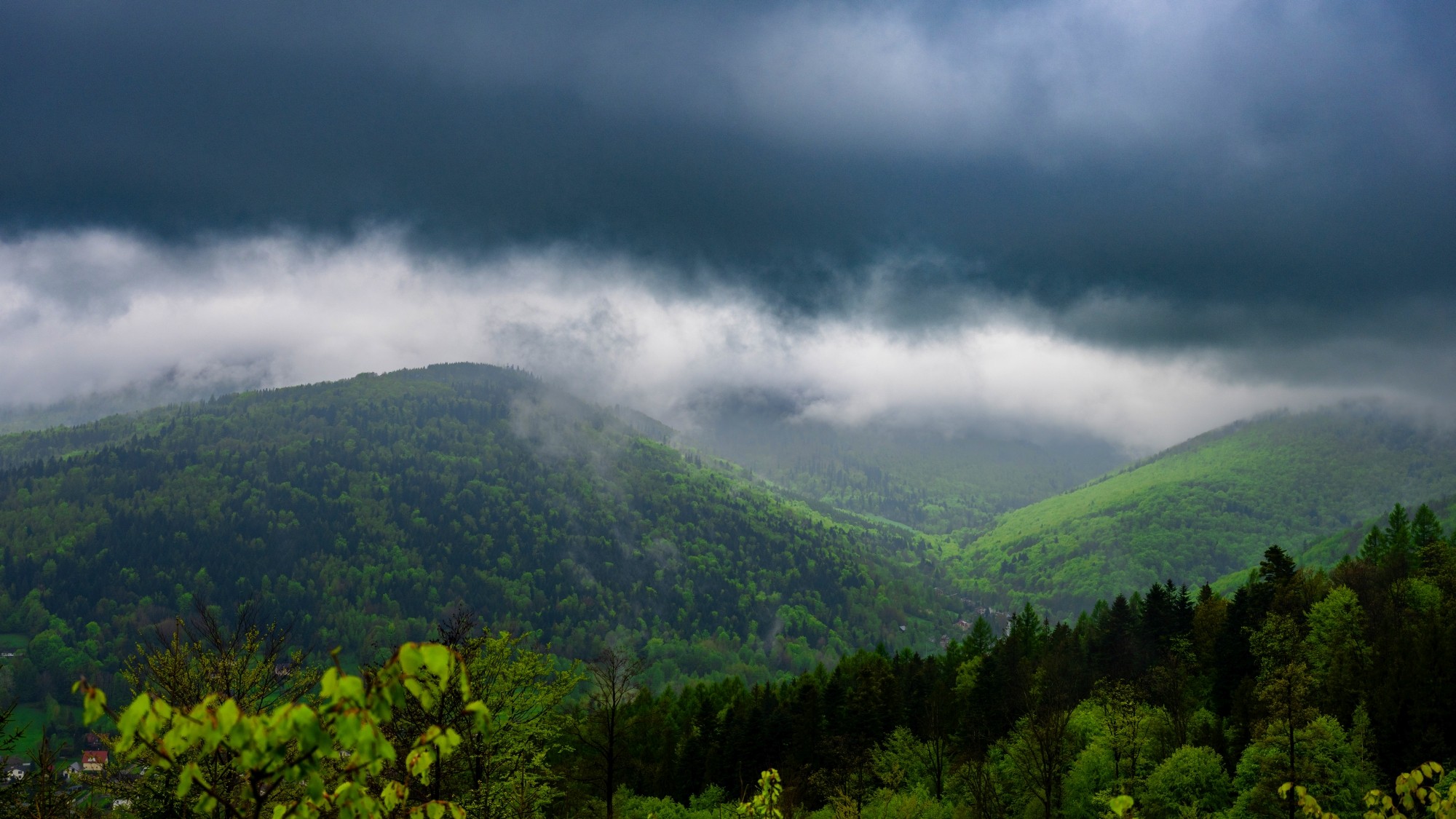 Zachwycający maj - zdjęcie 5