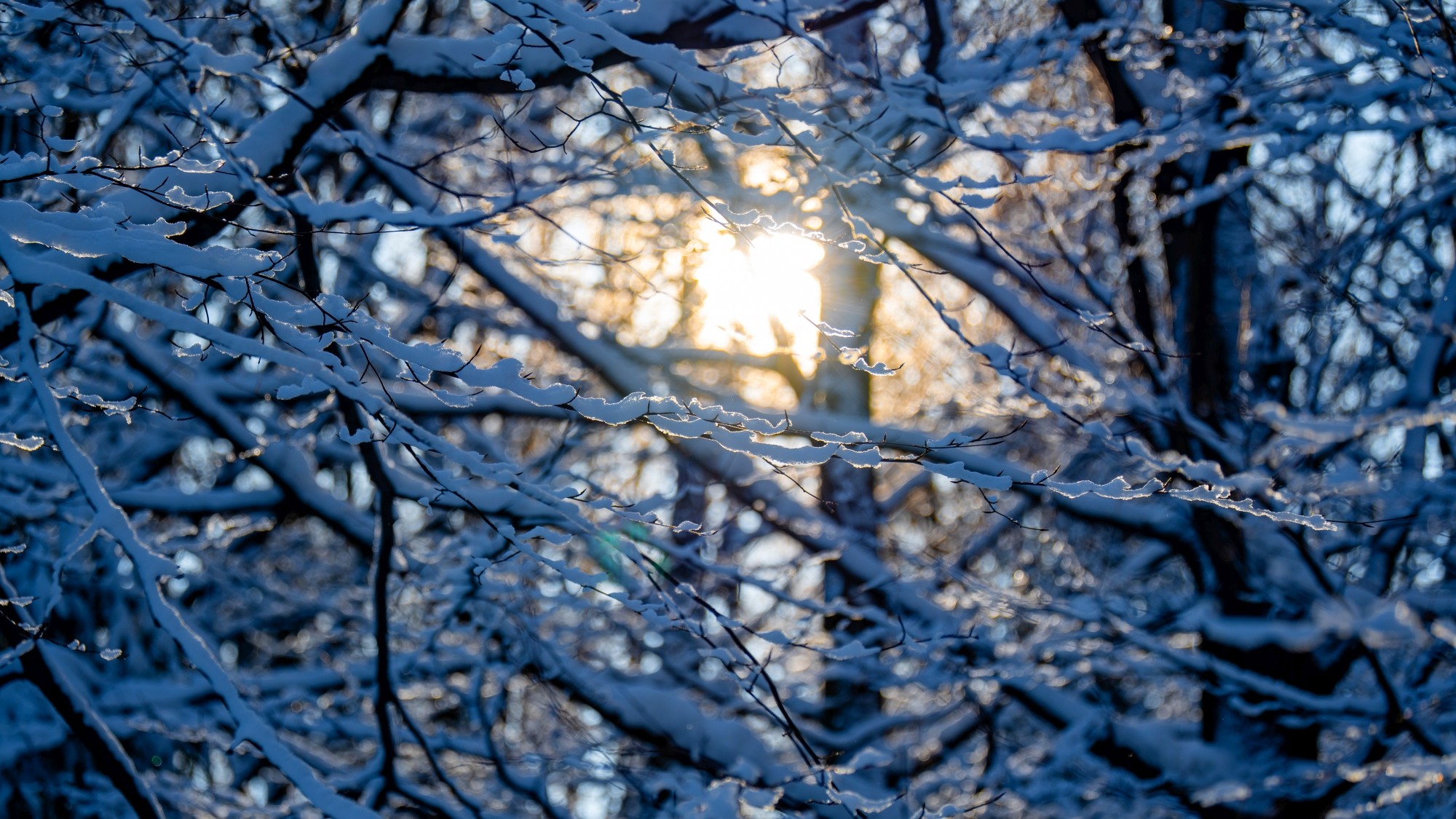 Zima w górach - zdjęcie 15