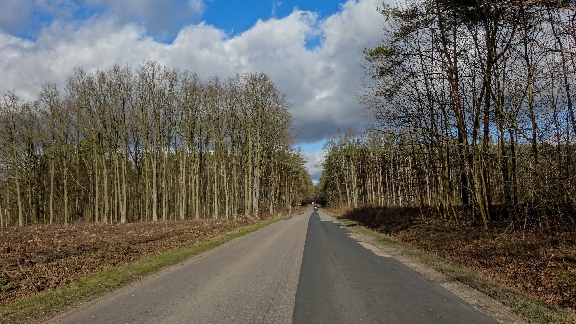 Najcieplejsza zima w historii - zdjęcie 32