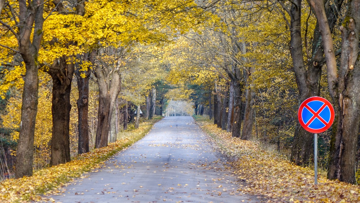 Najpiękniejsze polskie drogi - zdjęcie 12