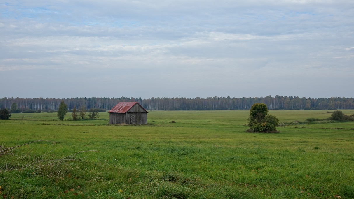 Październik w obiektywie - zdjęcie 65