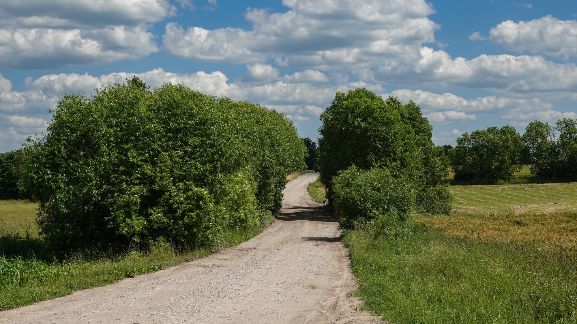 Letnie klimaty na łonie natury - zdjęcie 21