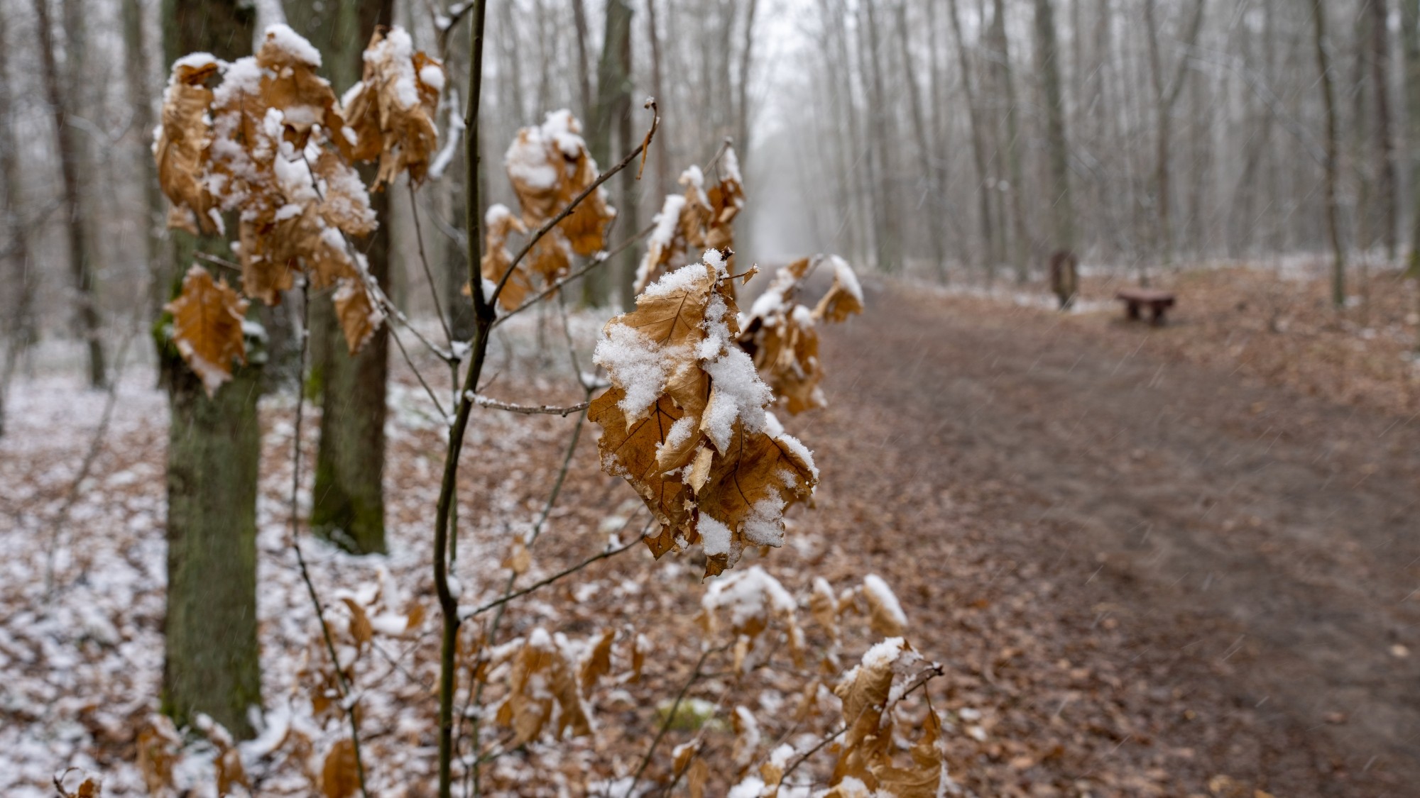 Miejska przyroda - zdjęcie 53