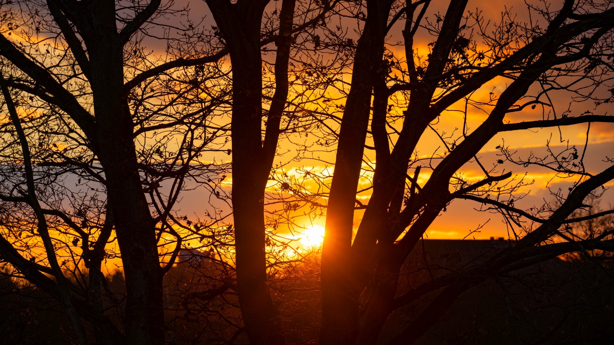 Różne oblicza zimy - zdjęcie 9