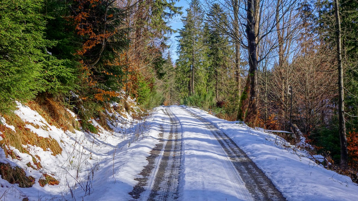 Najpiękniejsze polskie drogi - zdjęcie 6