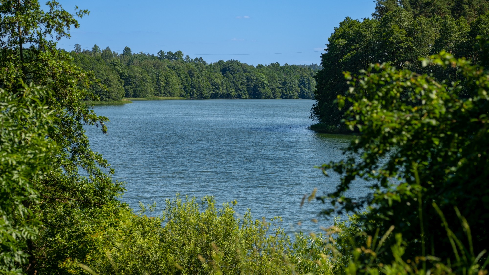 Kolory lata - zdjęcie 74
