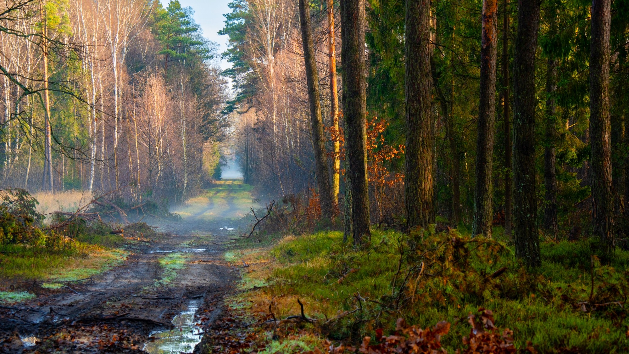 Różne oblicza zimy - zdjęcie 15
