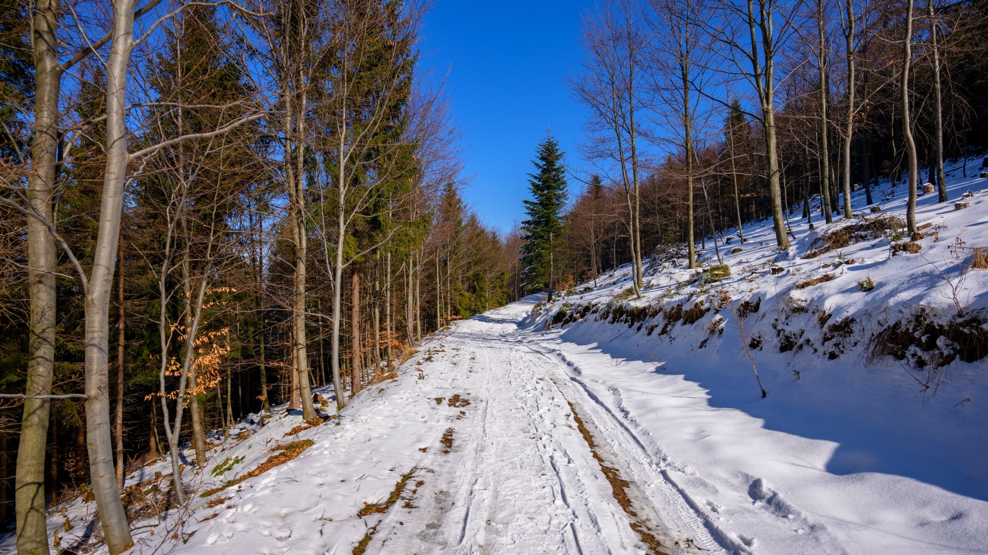 Zima w górach - zdjęcie 49