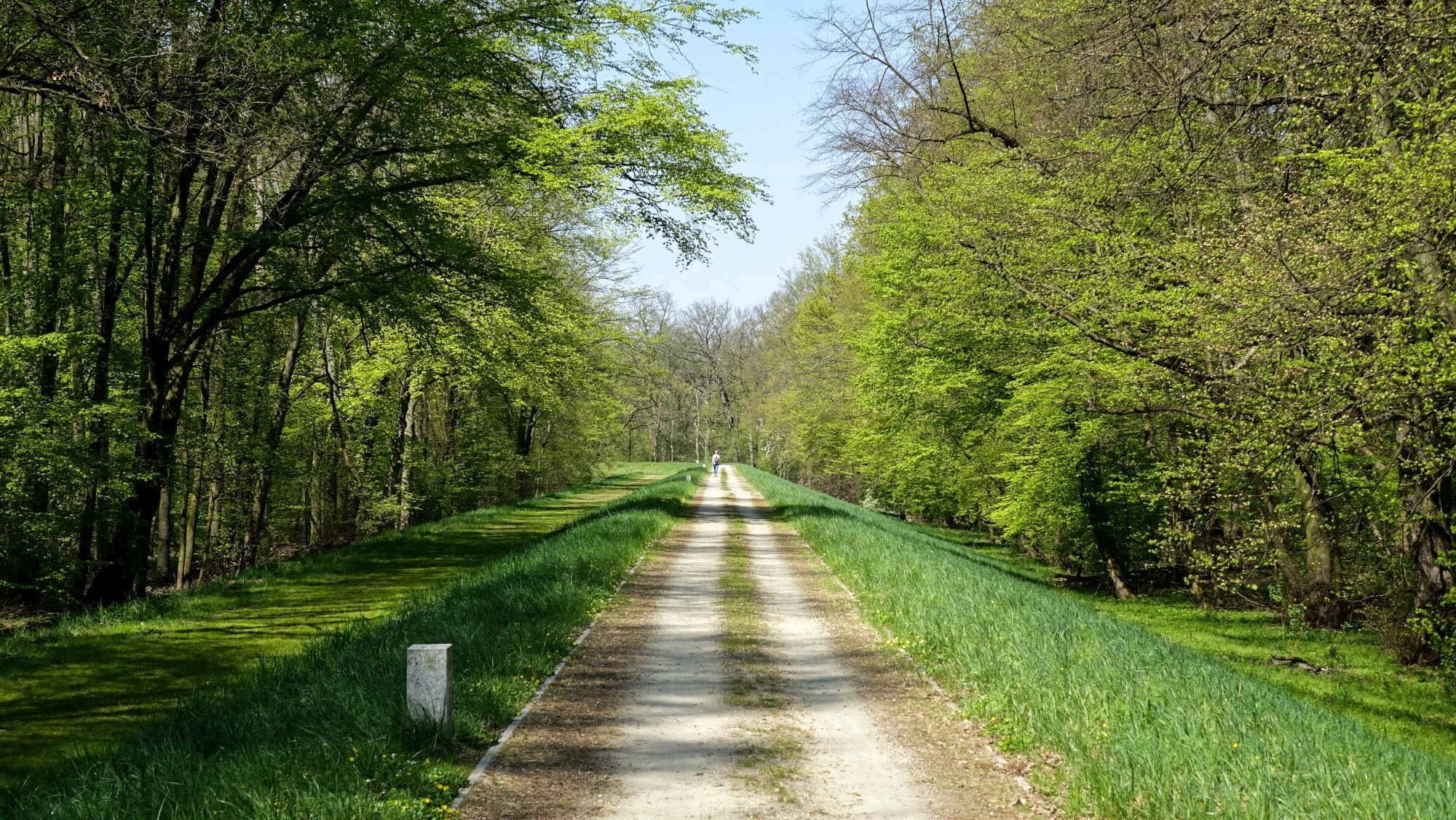Podróż przez wiosenną Polskę - zdjęcie 18