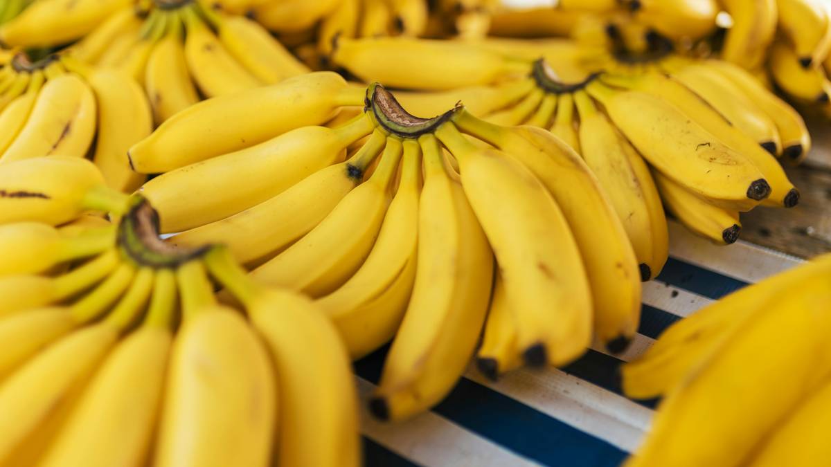 Duża ilość ż&oacute;łtych banan&oacute;w ułożonych na stole.