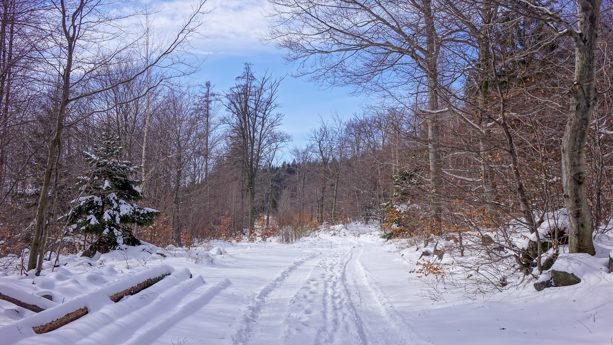 Marzec w obiektywie - zdjęcie 23