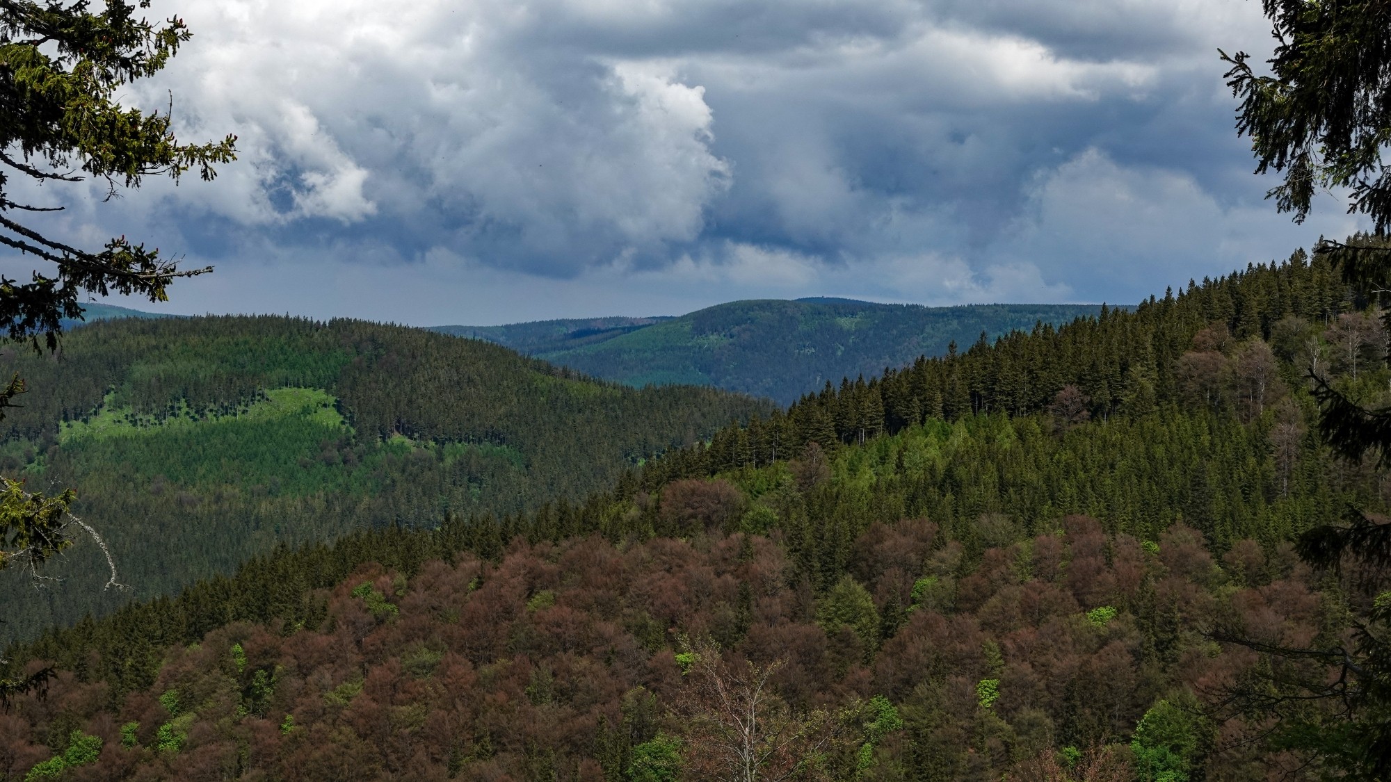 Letnie klimaty na łonie natury - zdjęcie 23