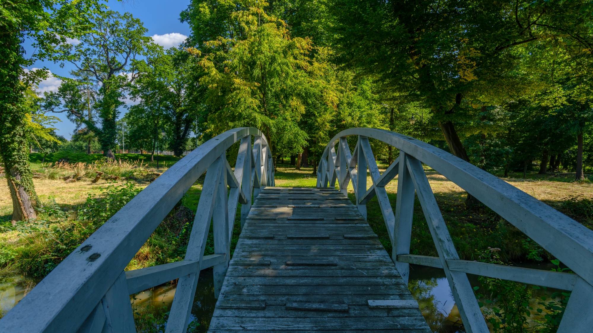 Kolory lata - zdjęcie 19
