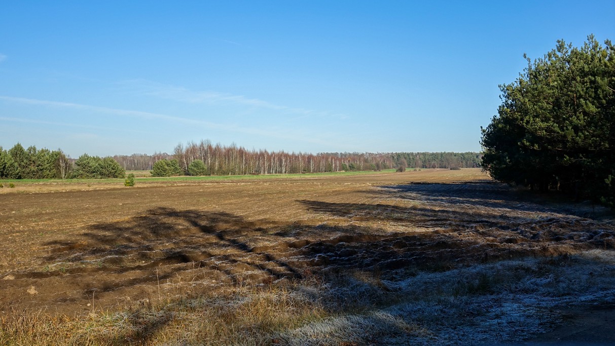 Listopad w obiektywie - zdjęcie 38