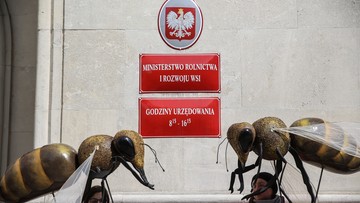 60 tys. podpisów pod petycją Greenpeace i pszczelarzy. Chcą zakazu stosowania pestycydów