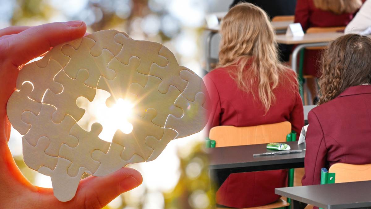 Model m&oacute;zgu złożony z puzzli trzymany w dłoni, z przebijającym przez środek światłem.