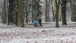 05.01.2021 00:00 Pierwszy śnieg w 2021 roku