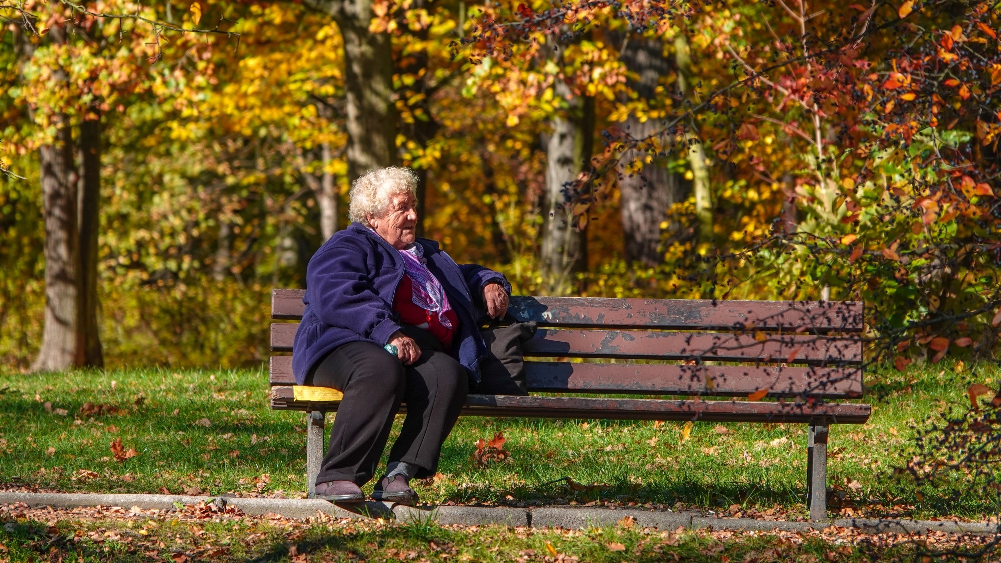 Wszystkie barwy jesieni - zdjęcie 70