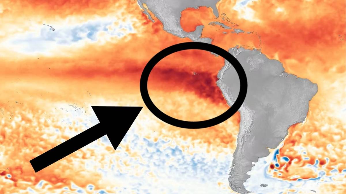 Rodzi się coś, czego jeszcze nie widziano. Zapamiętamy to na długo