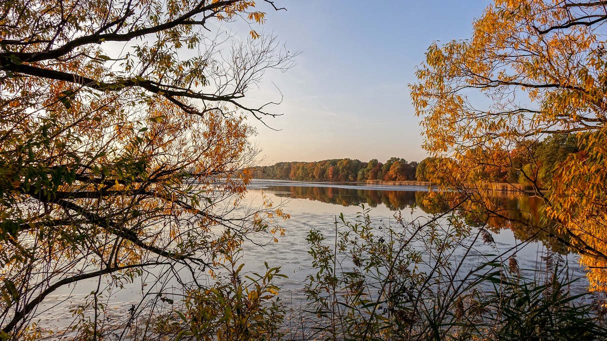 Nad morzem, jeziorami i rzekami - zdjęcie 41