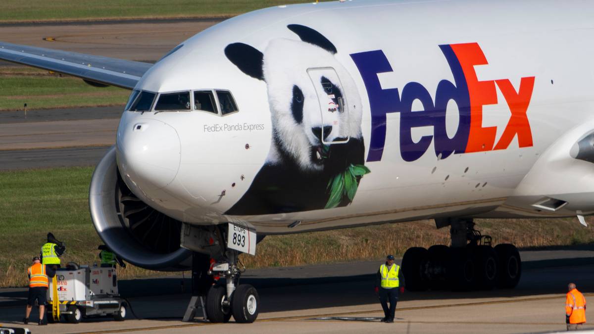 China envió dos pandas gigantes a Washington. Por primera vez en 24 años