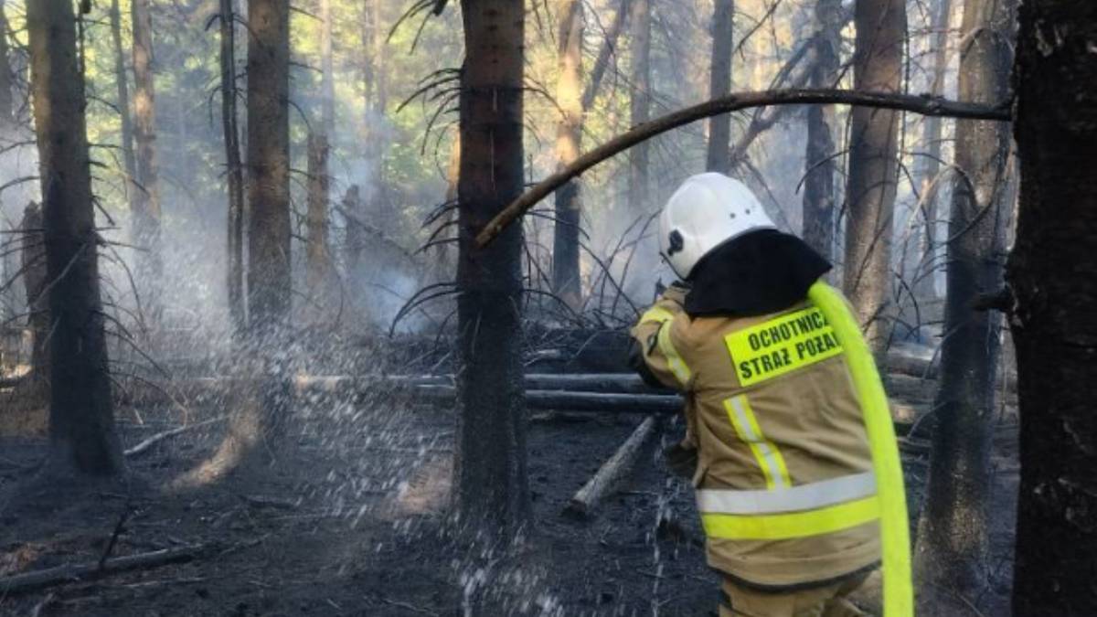Pożar na granicy polsko-słowackiej. Akcja służb na trudnym terenie