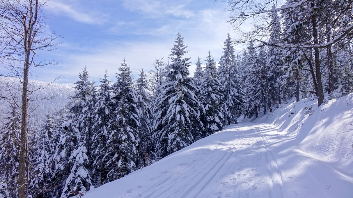 Marzec w obiektywie - zdjęcie 22