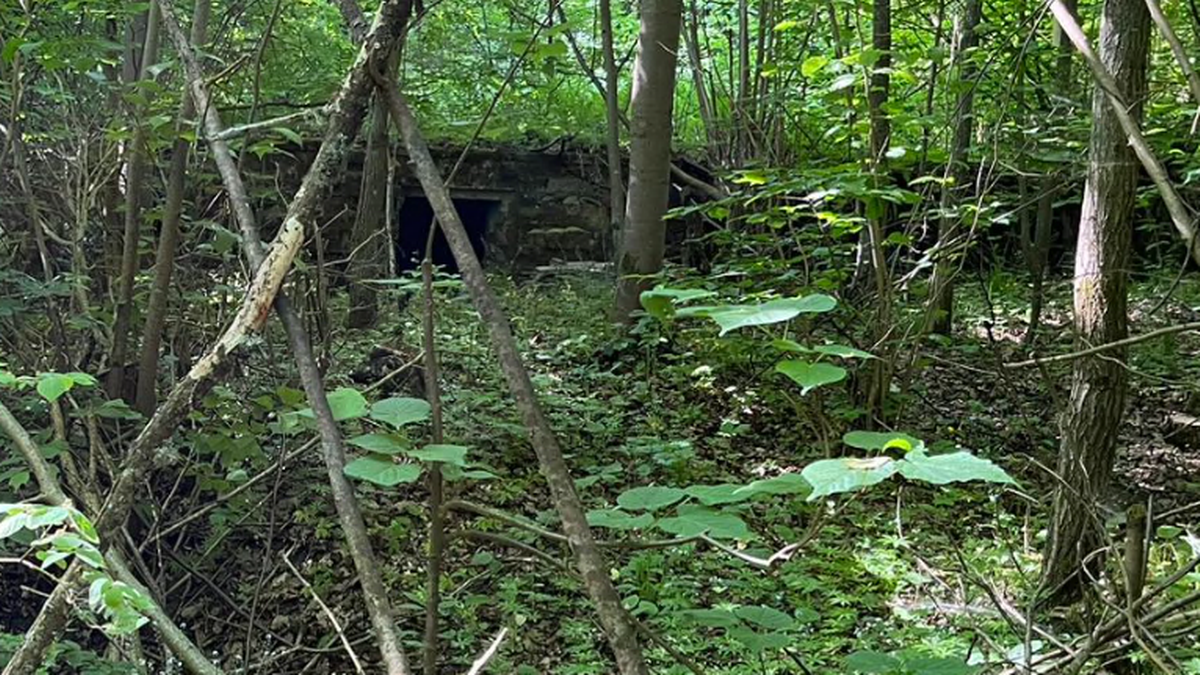 Kompleks poniemieckich bunkrów w Mamerkach. Odkryto tory i koła kolejki wąskotorowej