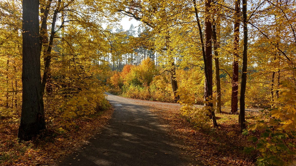 Październik w obiektywie - zdjęcie 67